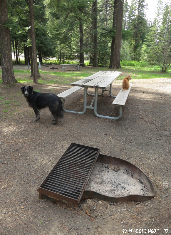 View of "sitting" area showing fire-pit and picnic table. This was our site A4.