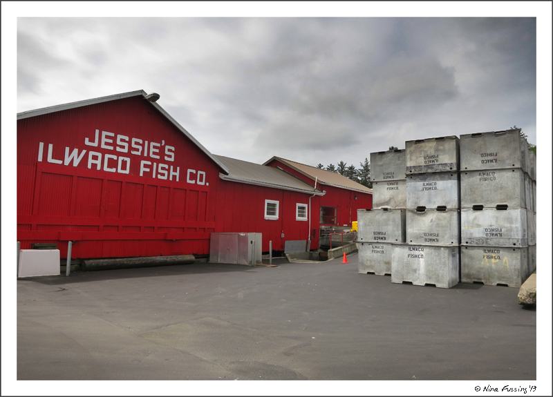 Jesse's at Ilwaco