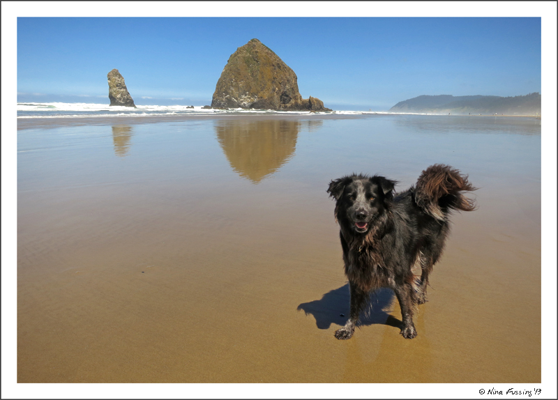 Perfect pose, doggie...and pretty neat background too!