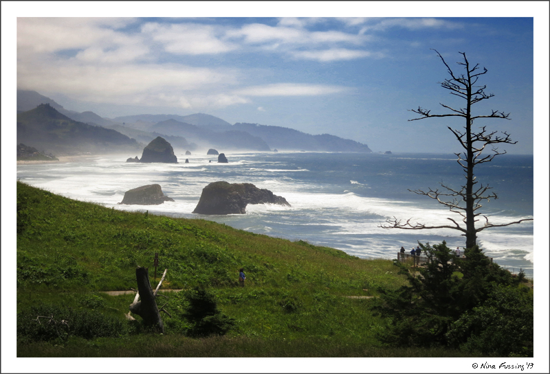 The stunning view from Ecola Point