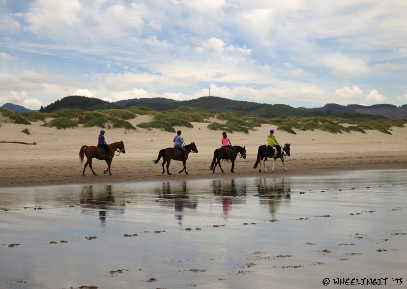 Horses on the beach