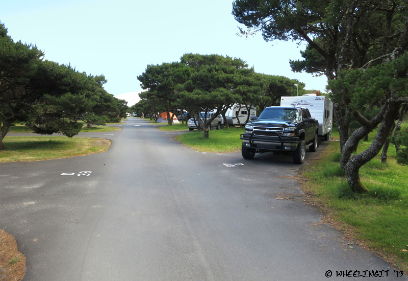 View down beach-facing sites in D area. Site D40 on right with D38/D36 behind. These do not have individual trails to the beach, but there is a trail in middle of the loop.