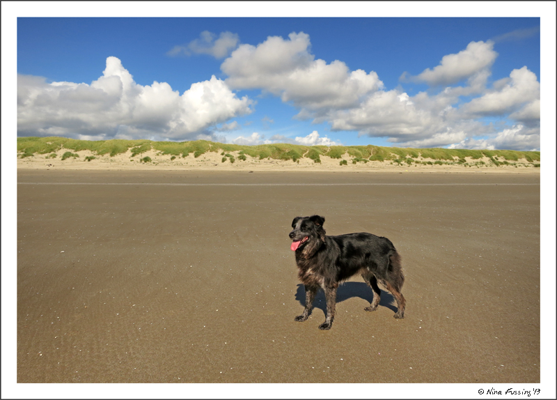 Polly poses at lovely South Beach State Park