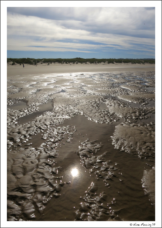 Ultra-low tide at our beach-site