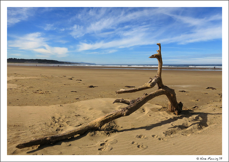 A brilliant day on the coast