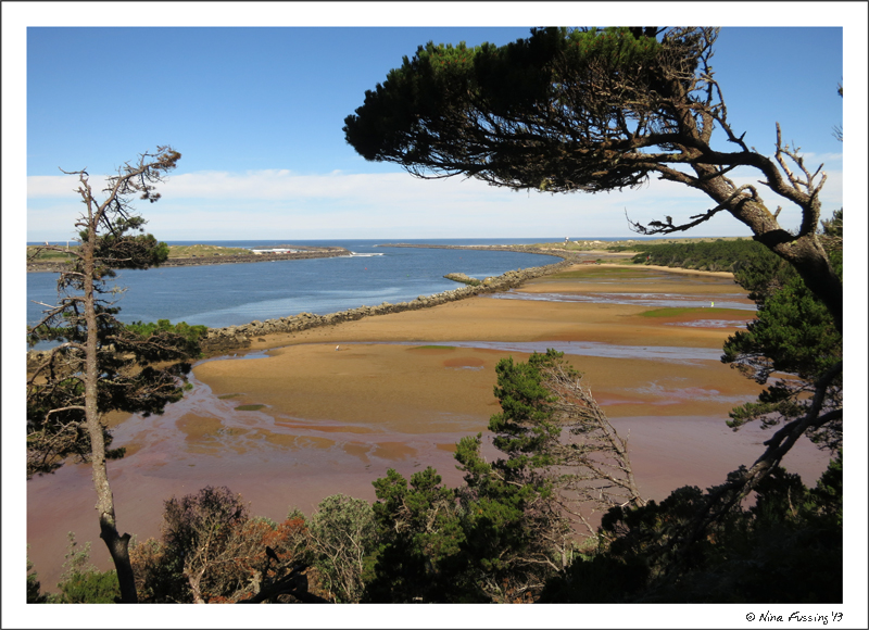 View of the jetty at low tide from the day-use overlook at Harbor Vista. There is a trail from the camp down to this area.