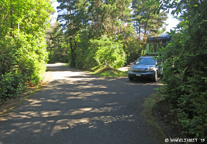 View of our *very* private site #38. A bit interesting to get into, but very quiet once we were there.