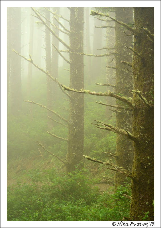 The fog makes from some eerie hiking
