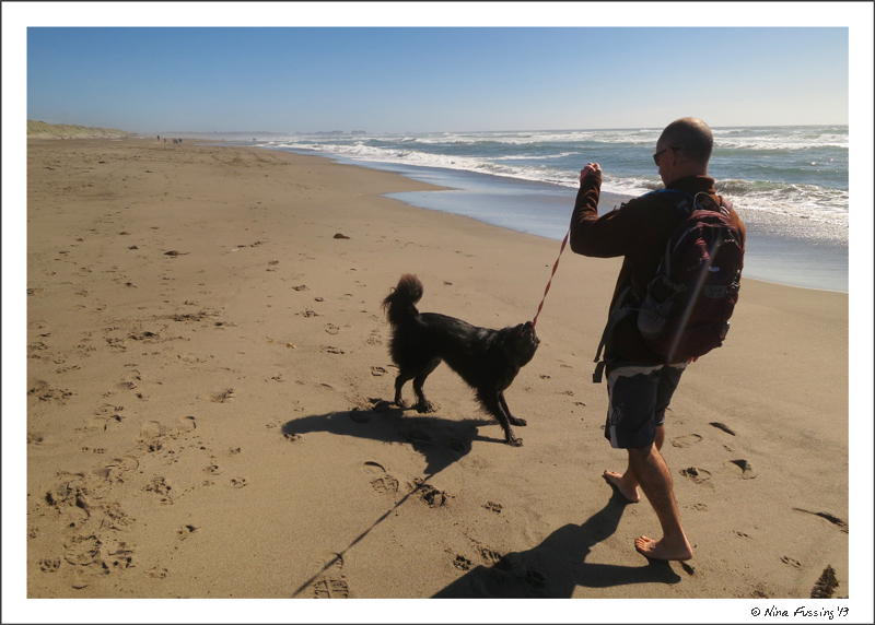 Playing by the beach