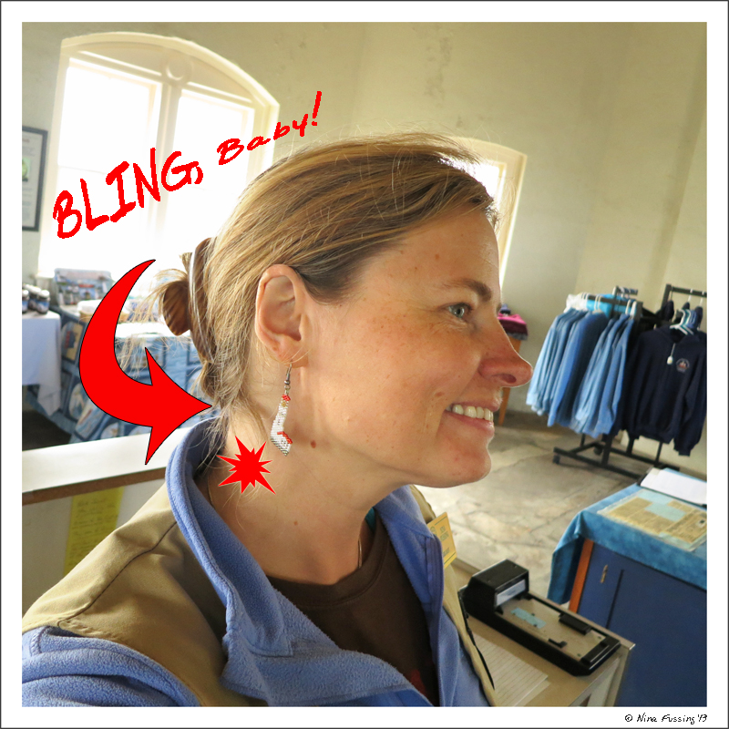 Sporting lighthouse BLING thanks to Kathy at Birding RVers