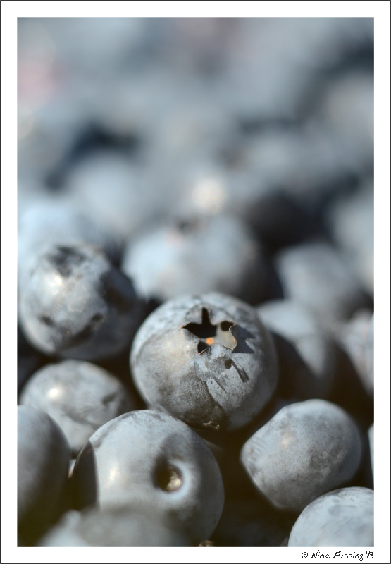 Oh blueberry, how I love thee...