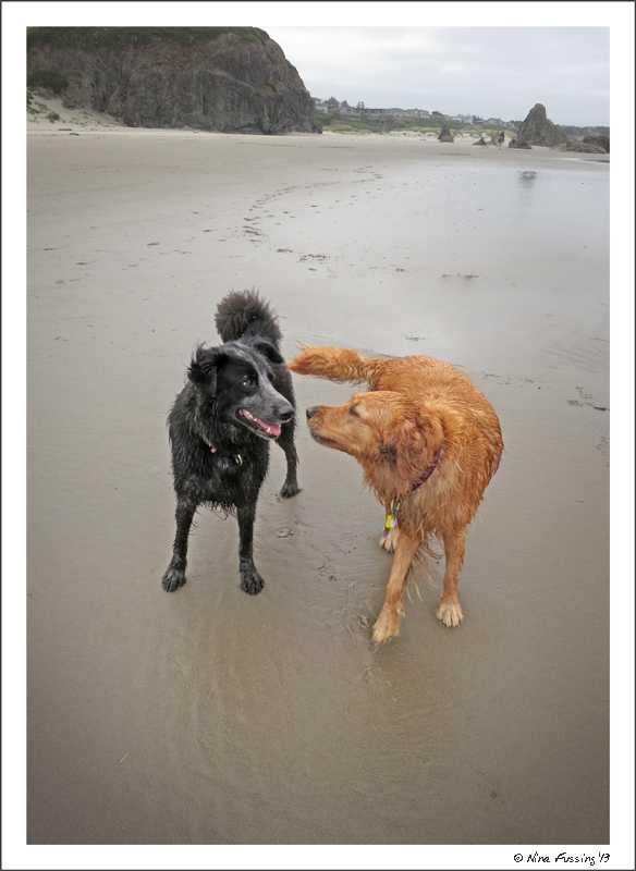 RVing is just so darn social. Polly and Molly.
