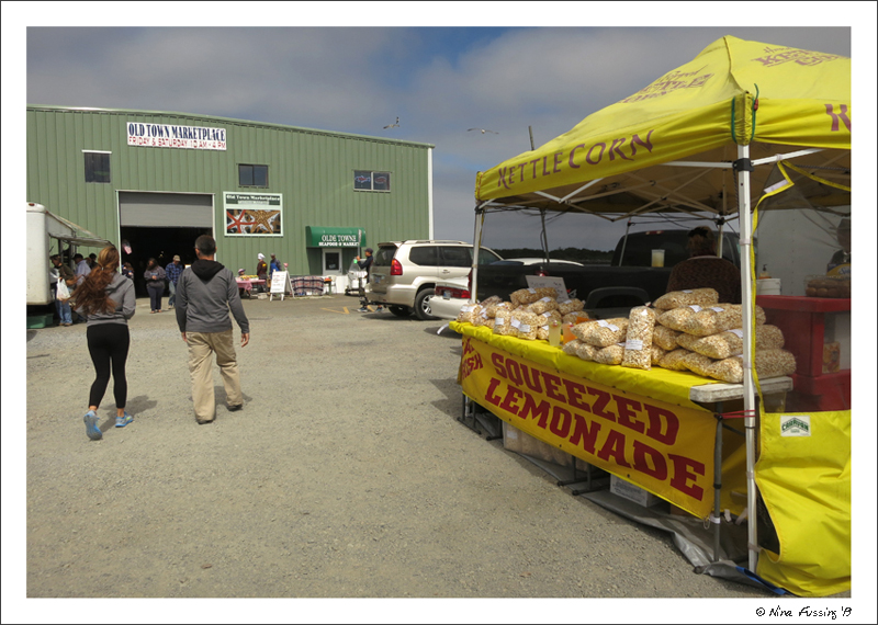Paul and Alex stroll into Bandon's Farmers Market