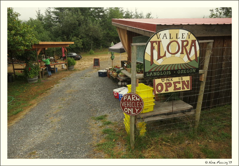 Valley Flora Farm just south in Langlois, OR is a local secret for greens!