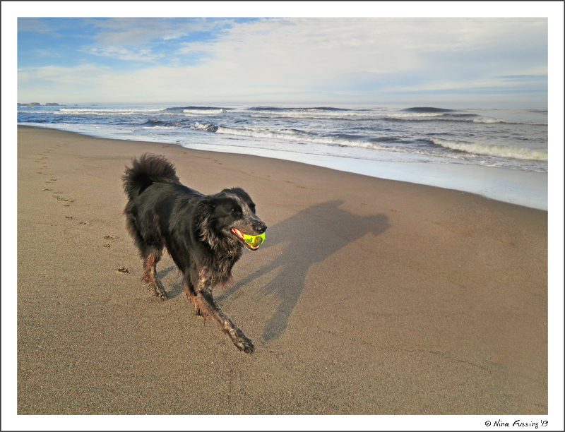 Morning play with doggie