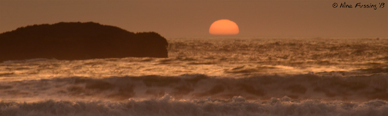 Last of the shimmering sun