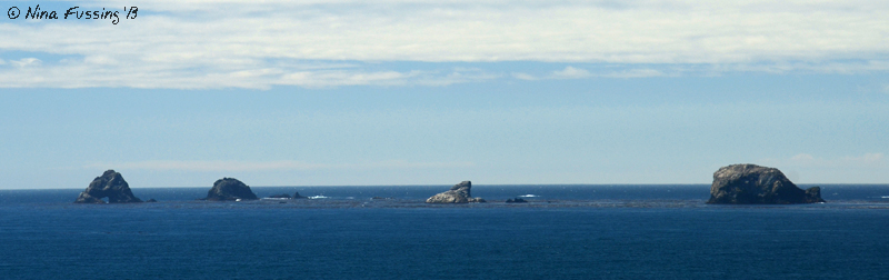 Distant sea stacks as seen from the cape