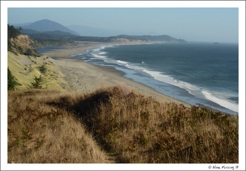 How d'ya like them apples? View from one of the many coastal trails at Cape Blanco