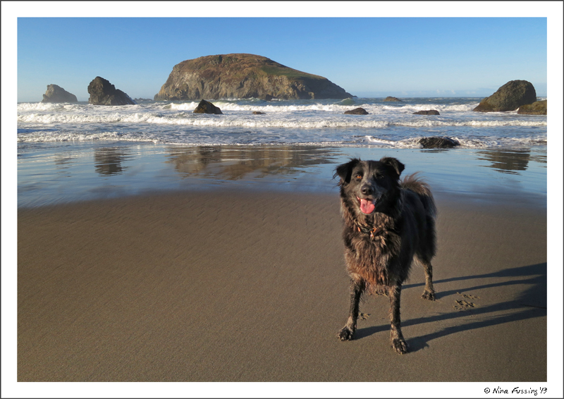 Polly poses on gorgeous Harris State Beach
