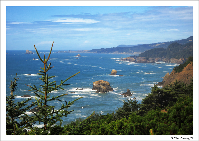 Vista at Samuel H Boardman State Park