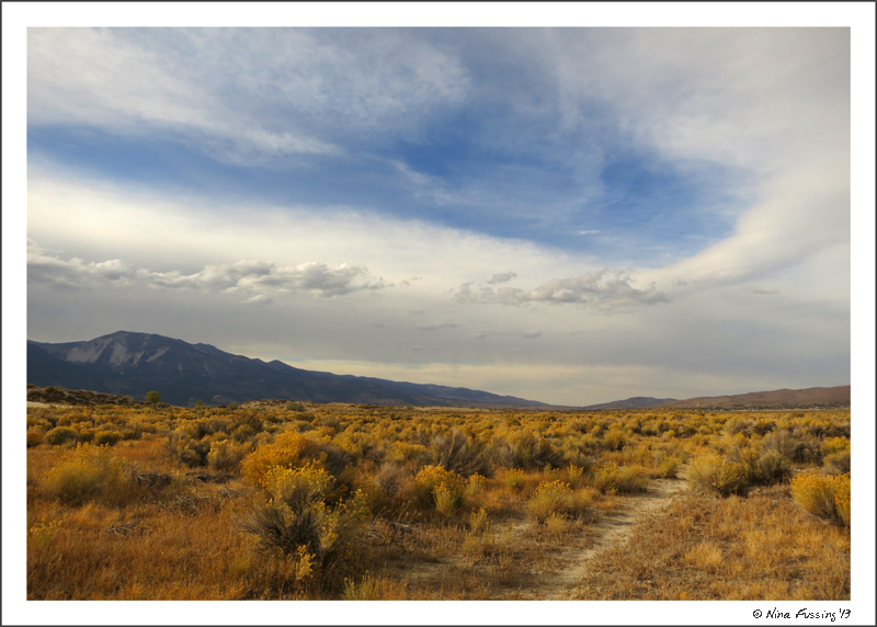 Inviting trails at Washoe Lake State Park