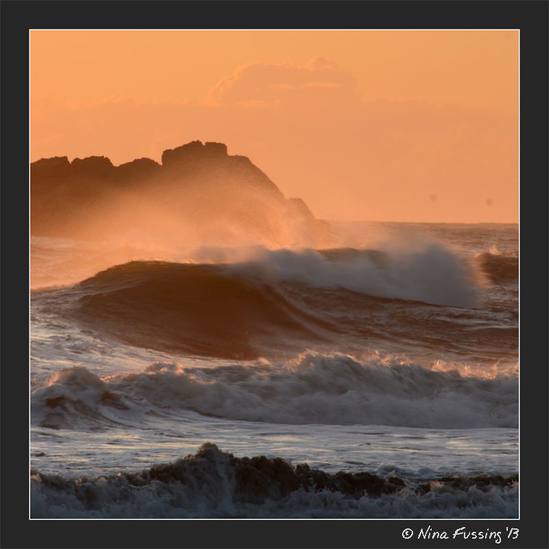 Wild waves in evening light