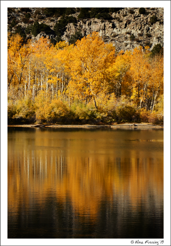 THIS is why we brave the cold! Fall colors, baby!