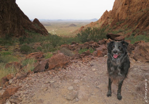 Polly poses at the top of Palm Canyon in KOFA