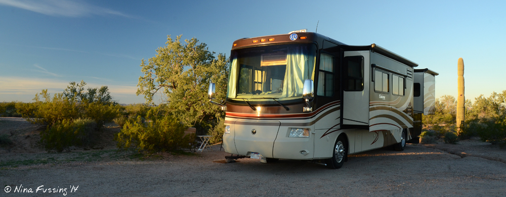 Our new boondocking site...with our very own Saguaro cactus!!