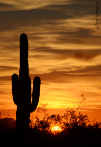 Just another great Arizona sunset