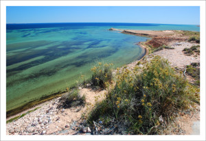 Another pristine coastline. Eagle Bluff