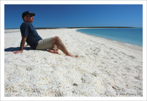 Have you ever seen beach like this?? Shell Beach, Australia