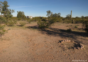 Another site with RV in the background