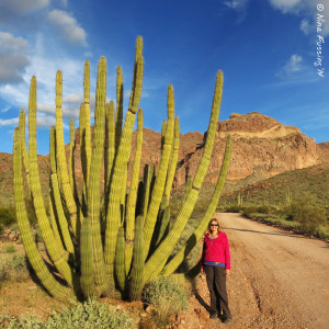 Your truly by one of the gorgeous organ pipe