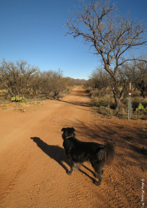 Polly poses in one of the more narrow dirt roads