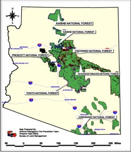 Arizona National Forest land