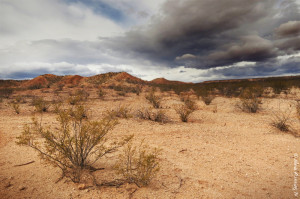 Desert weather....finally!