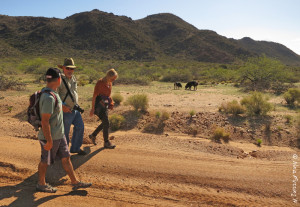 Hiking with the Bayfield Bunch at our boondocking site