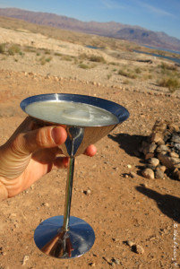 Care for a fancy cocktail?