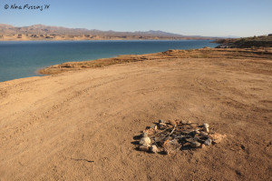 View of one of the sites towards the water-line.