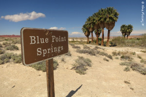 Blue Springs is a quick little visit on the north shore