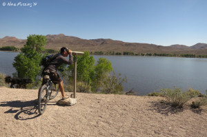 Looking for birds along the hike/bike trail