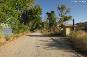 View of pit toilet along the lakeside road.