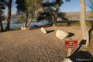 View of site #5. This is a tent-only site (no RVs).