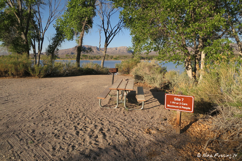 Free Campground Review Pahranagat National Wildlife Refuge, Alamo, NV