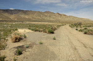 Tamarack Beach -> View of back-in further back from our site