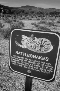 This is rough country out here.