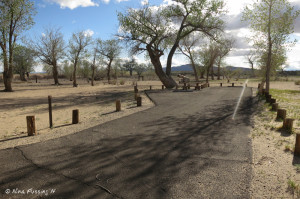 View of one of the longer/bigger sites in the campground