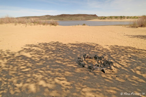 Another dispersed site view. This was taken at Silver Springs Beach #5