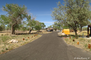 View of entrance into developed campground near Silver Springs Beach #7. First site on left was VERY unlevel. We're in 2nd site back.